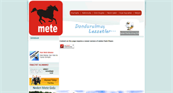 Desktop Screenshot of metegida.com.tr