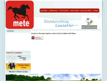 Tablet Screenshot of metegida.com.tr